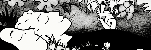 SambaDeBenco's profile banner image