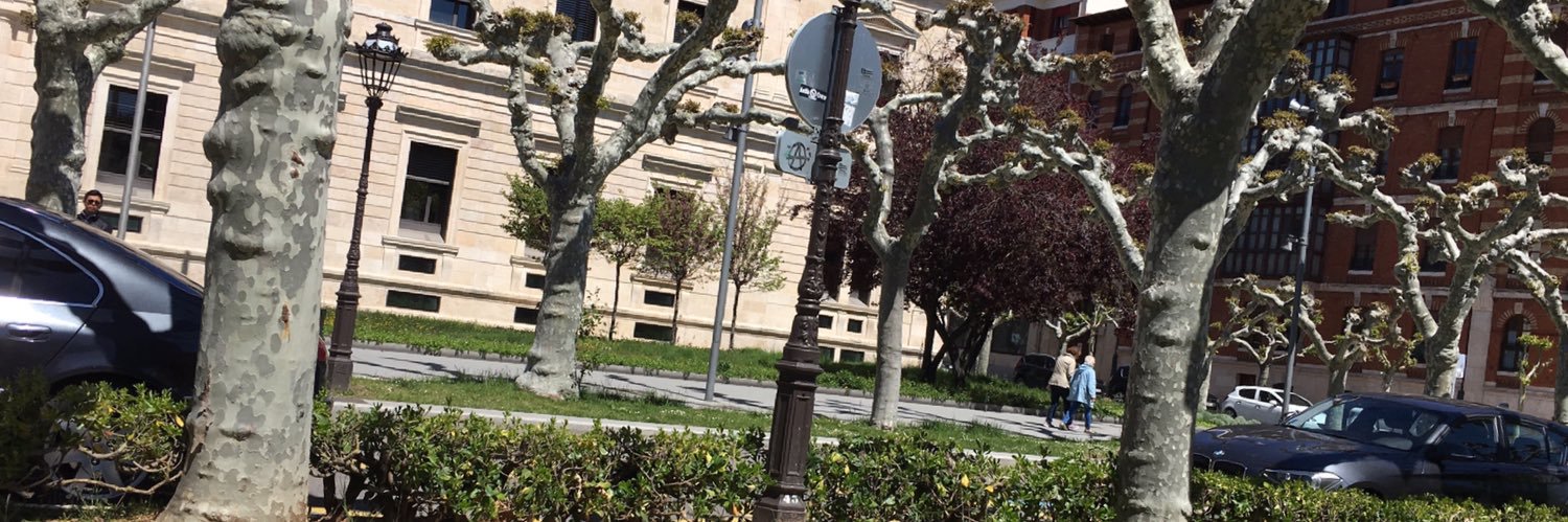 MoniPinzonC's profile banner image