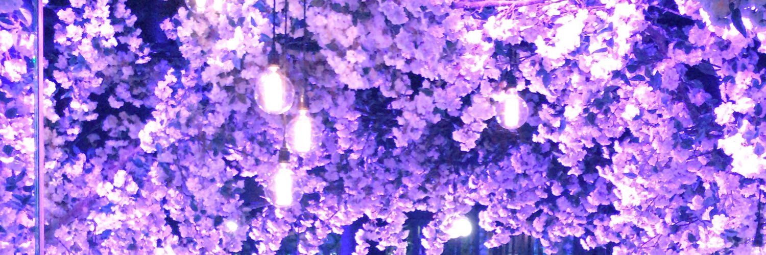 lordsamallsee's profile banner image