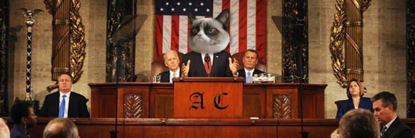 ArticleCats's profile banner image