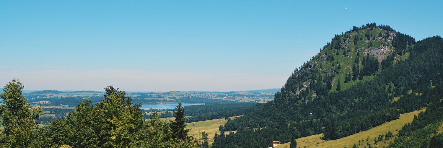 alesillapetite's profile banner image