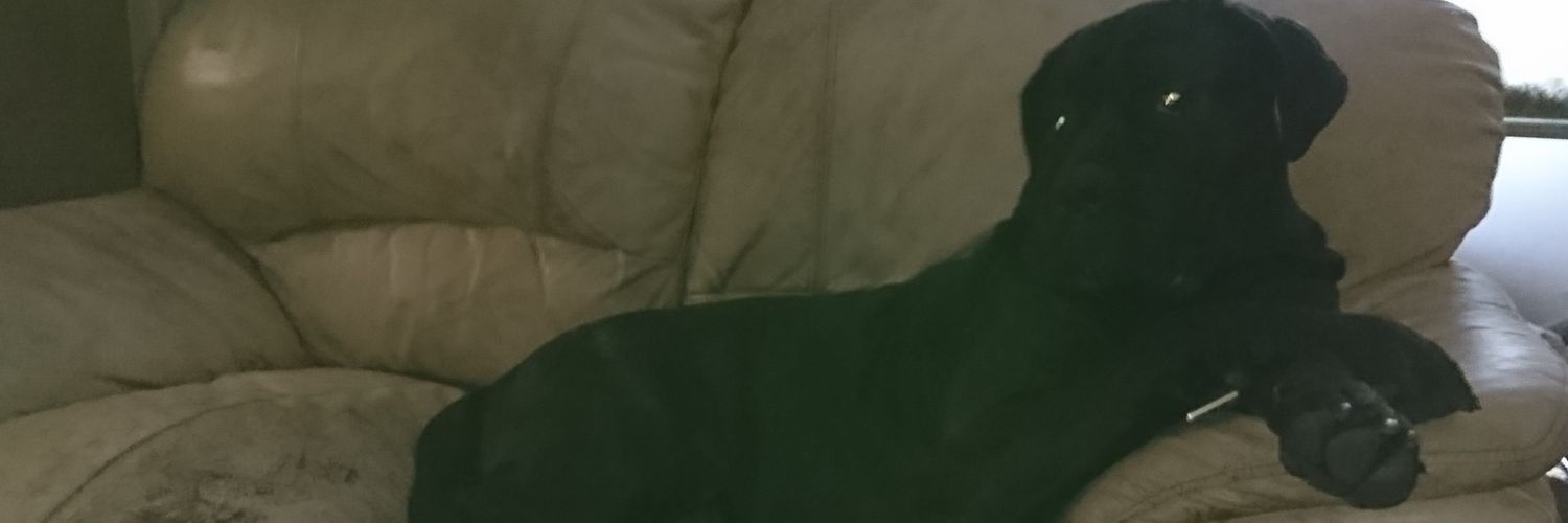 Lynz69's profile banner image