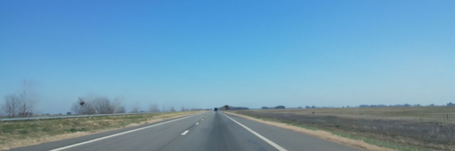 LauraTortoriell's profile banner image