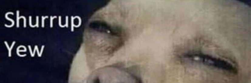 a1fonzo's profile banner image