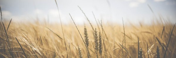 CLASouthEast Profile Banner