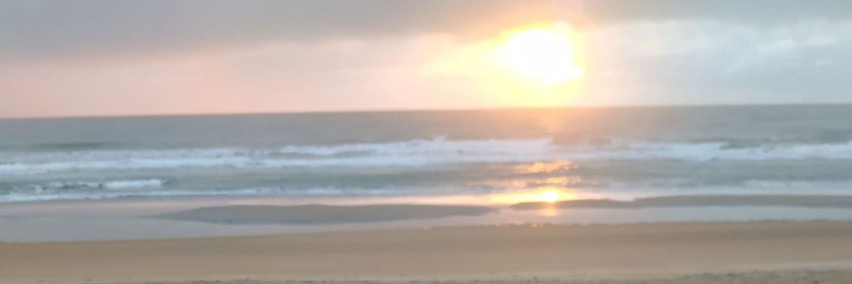 renardjrr's profile banner image