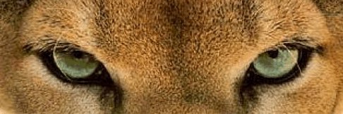 QuaboagFH's profile banner image