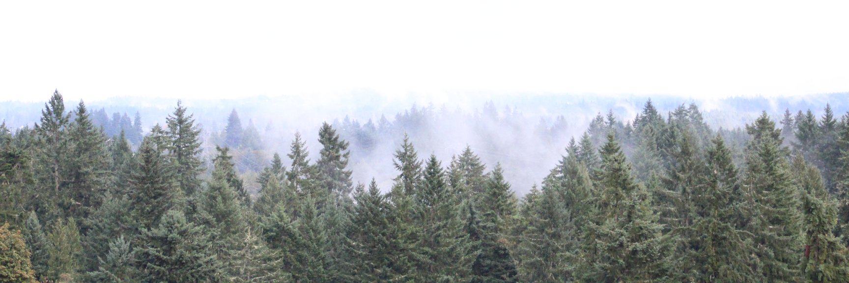 HawksViewWines's profile banner image