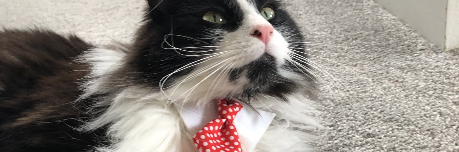 oh_liveee's profile banner image