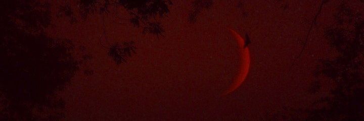 StephanieAudrey's profile banner image