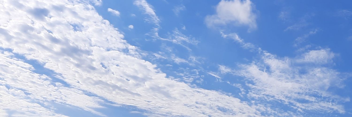 Anne-Gaelle Venier banner