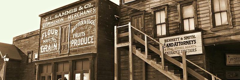 Sandra Schulz🌵 banner