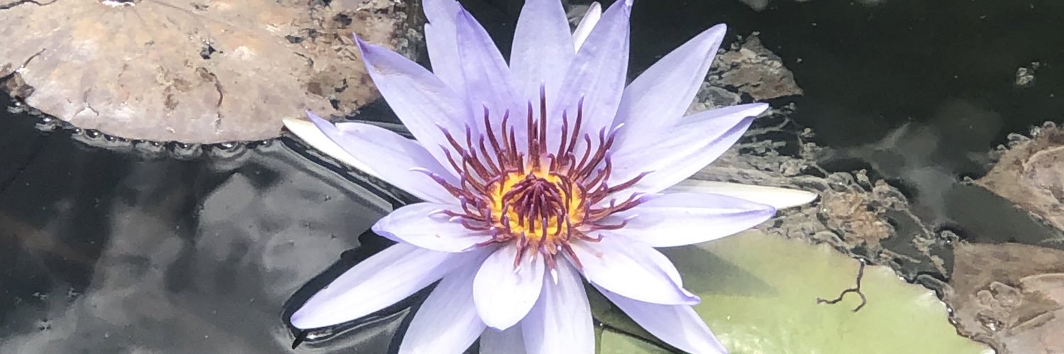 Miriam Anderson banner