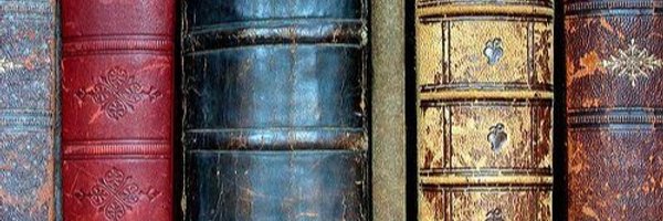 wellreaddevils Profile Banner