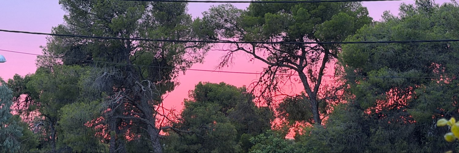 pappalingmailco's profile banner image