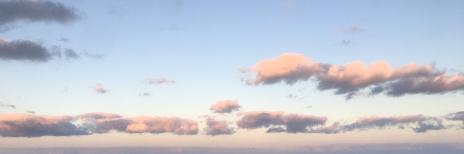 Paola banner