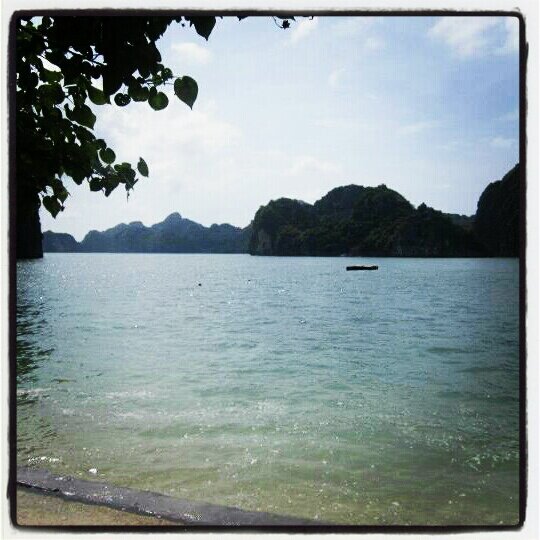 Ellie Weatherseed banner