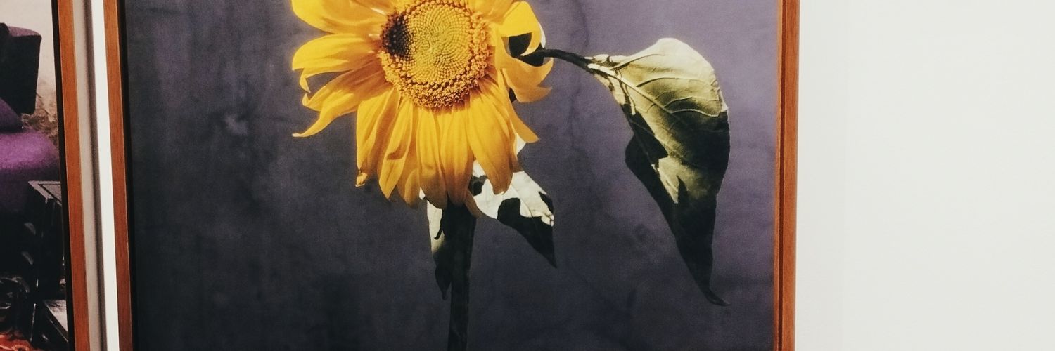 ainnun2398's profile banner image