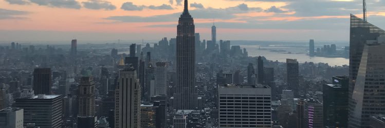 TweeterMaguire's profile banner image
