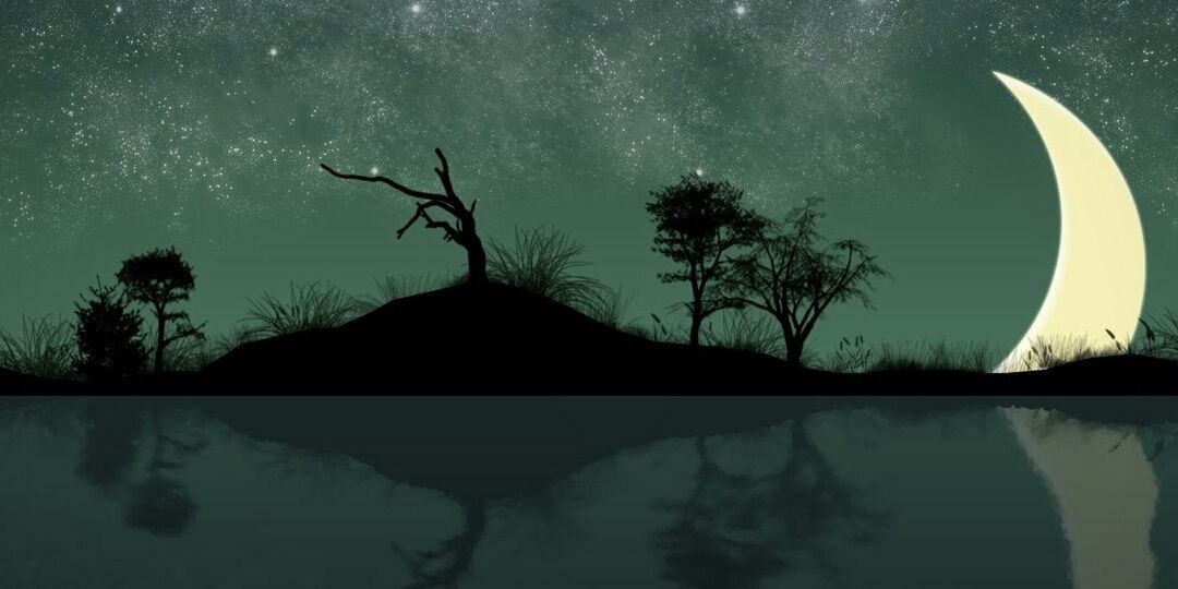 nazemore03's profile banner image
