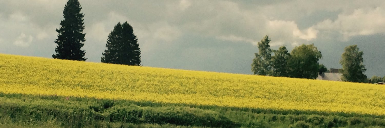 AnneHyvarinen's profile banner image