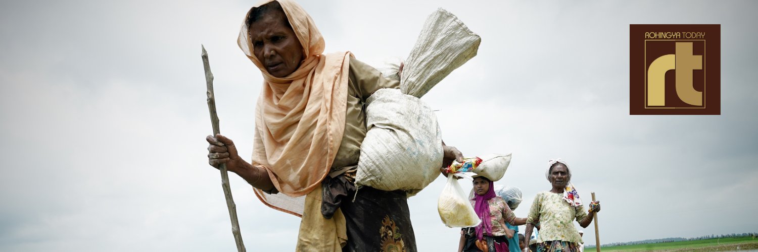 Rohingya Today banner