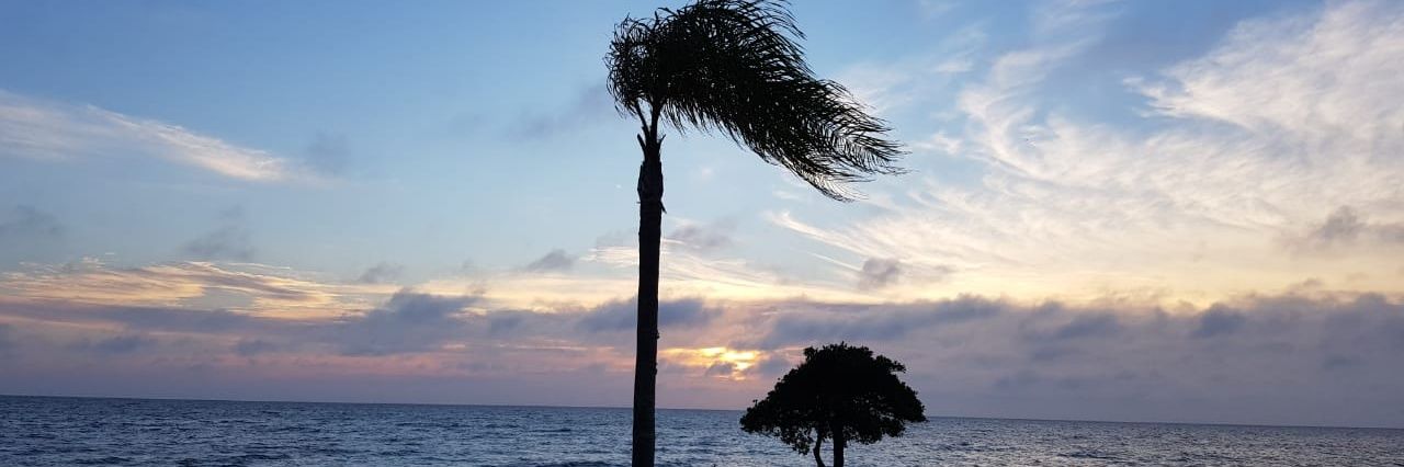 sandra_jorn's profile banner image