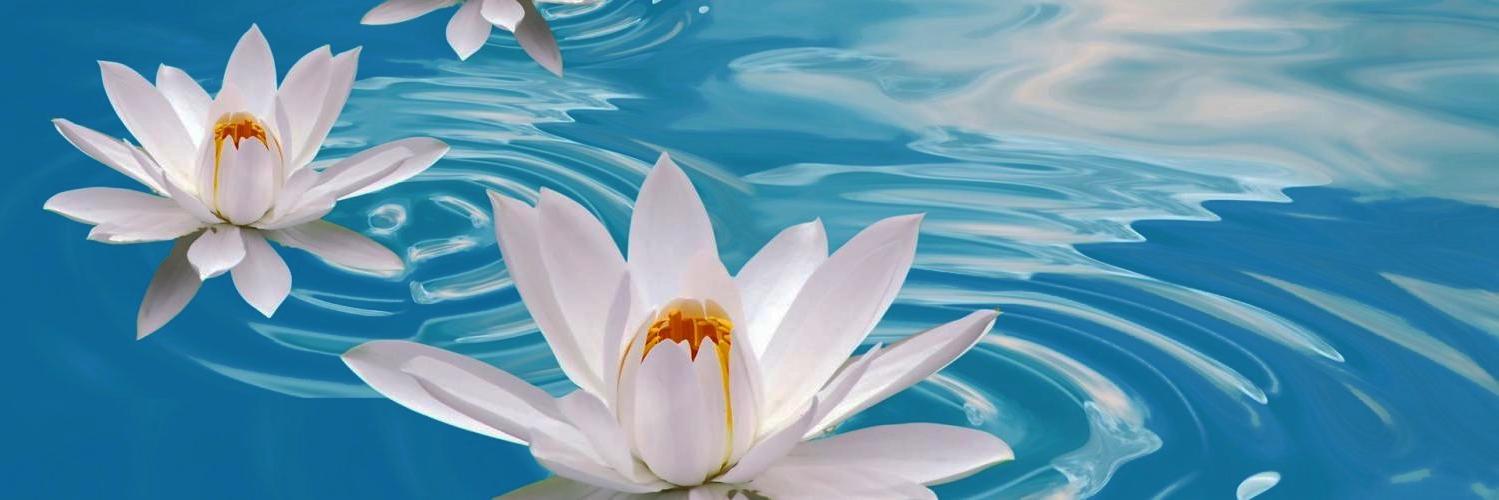 arjjunananda's profile banner image