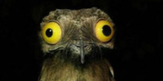 Gyrroz's profile banner image