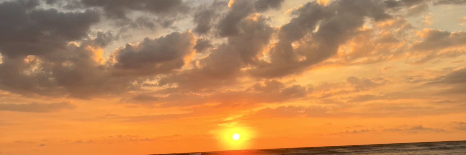 melissaluciog's profile banner image