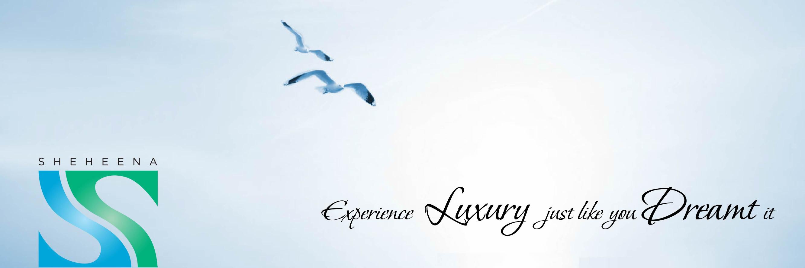 info_sheheena's profile banner image