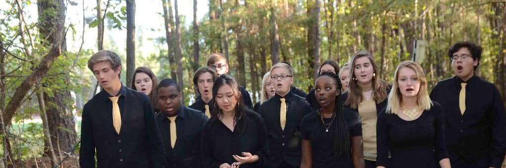 NHSAcappella's profile banner image