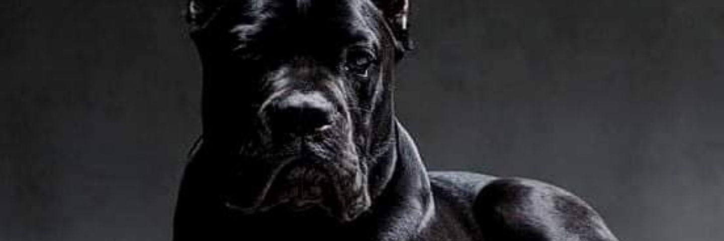 umank9's profile banner image