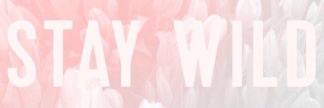andreabrillan17's profile banner image