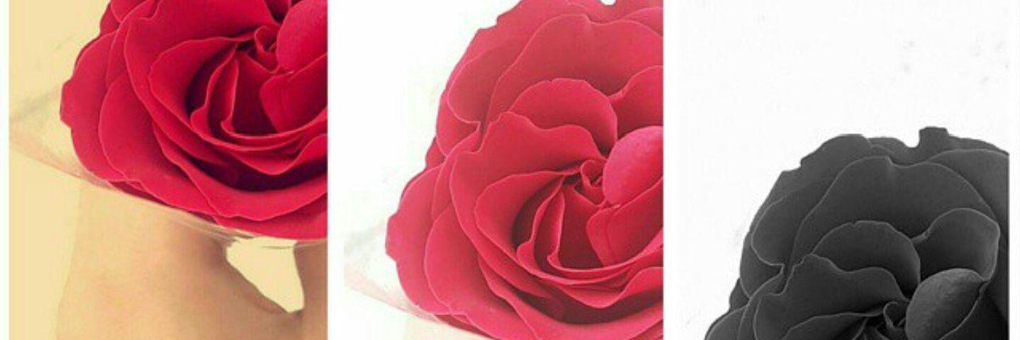 lateefa94's profile banner image