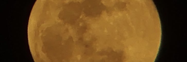 navaaale's profile banner image