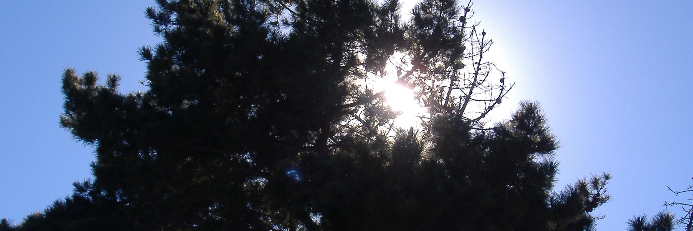 WriterMariecor's profile banner image