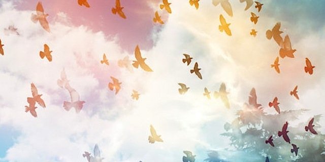 FerventArcher's profile banner image