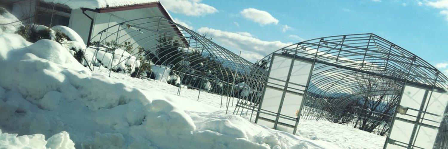 Rzeeca's profile banner image