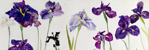 Lindsay Bashir banner