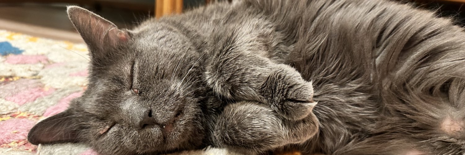 cossiegossie's profile banner image