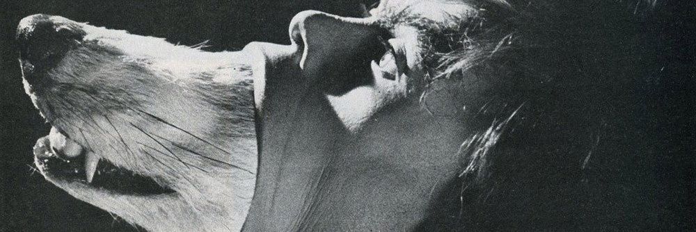 DieeVargas's profile banner image