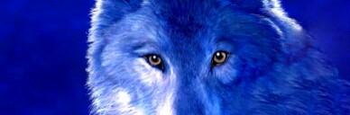 nickyaze's profile banner image