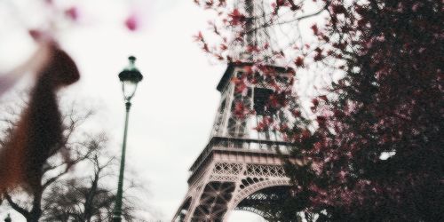 HasnaYousoo's profile banner image