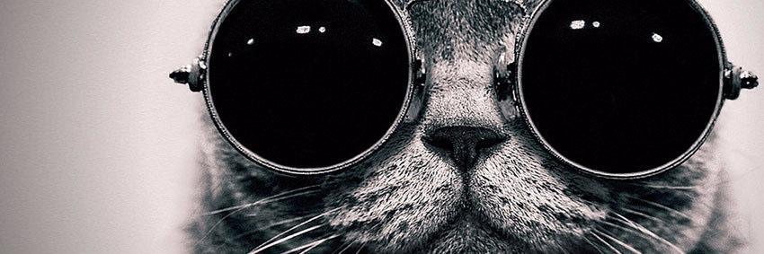 denghild97's profile banner image