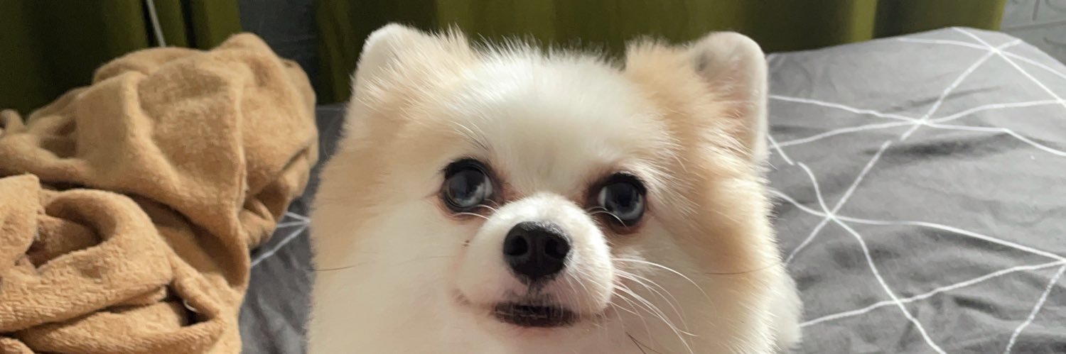 topnitigorn's profile banner image