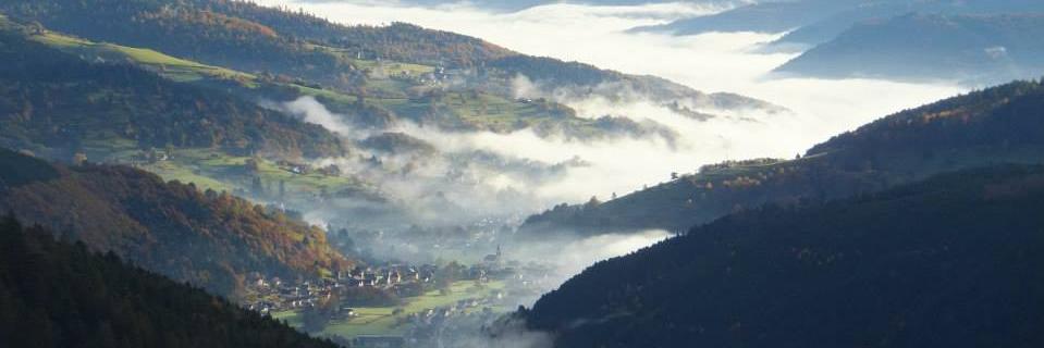 ForestConcepts's profile banner image