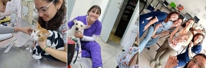 Nadie Importante banner