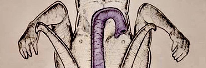 MARKIL0_'s profile banner image
