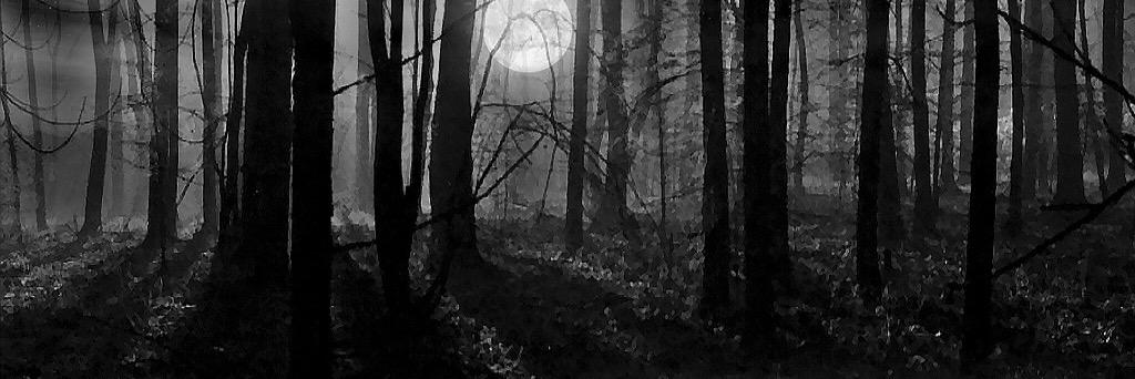 RachBergwerff's profile banner image